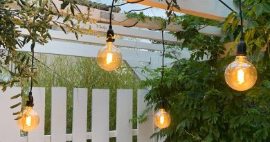 girlande lumineuse de jardin