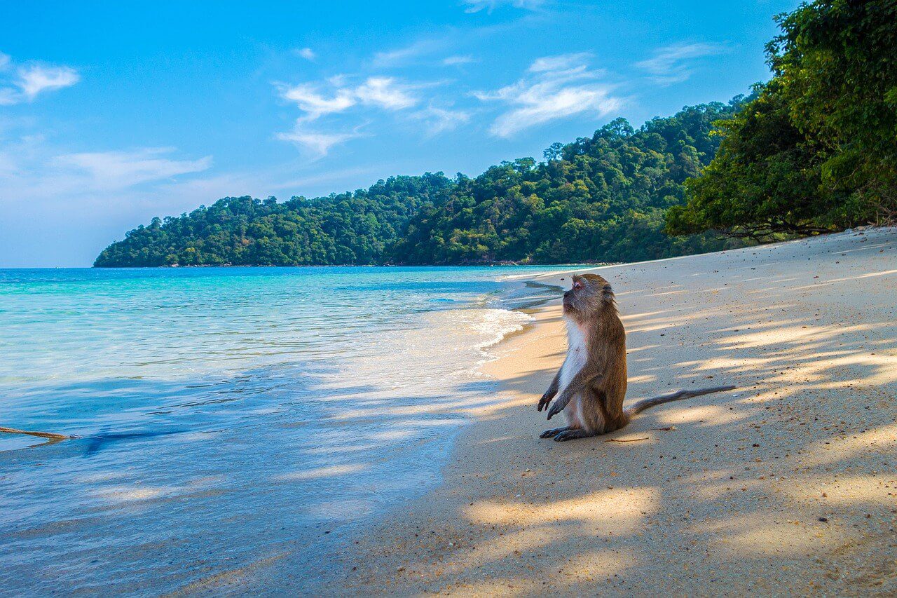 meilleure période pour aller en Thaïlande