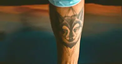 tatouage loup réaliste